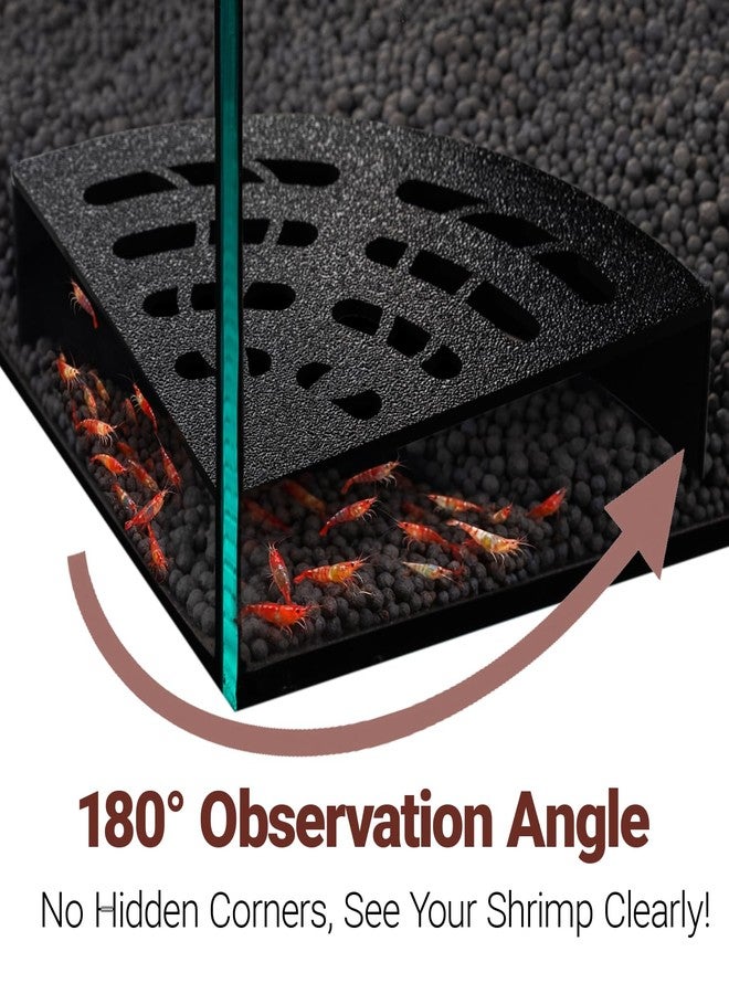 HERPDEN Shrimp Cave 2-Pack - Space-Saving Fan-Shaped Aquarium Cave Decor with 180° Wide-View Design, Compact Fish Tank Accessories for Cherry/Dwarf Shrimp (Black) - Image 3
